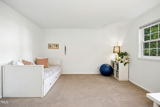 1208 Manassas Ct Unit A, Raleigh, NC 27609 - bedroom with light carpet and baseboards