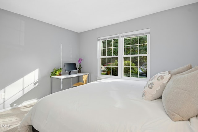 1208 Manassas Ct Unit A, Raleigh, NC 27609 - view of carpeted bedroom
