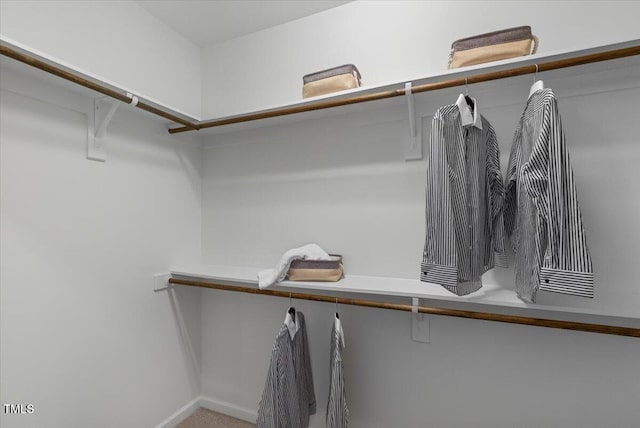 2837 Milano Ave, Apex, NC 27502 - walk in closet with carpet flooring