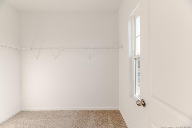spacious closet with light colored carpet