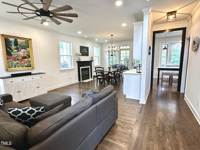 living room with ornamental molding, ceiling fan, healthy amount of natural light, a chandelier, and dark wood-type flooring