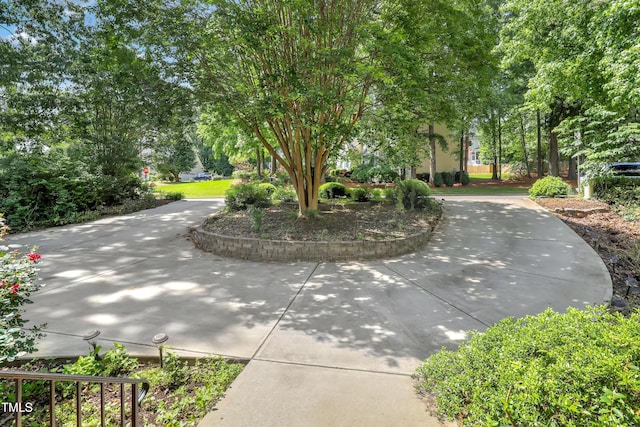 123 W Camden Forest Dr, Cary, NC 27518 - view of surrounding community