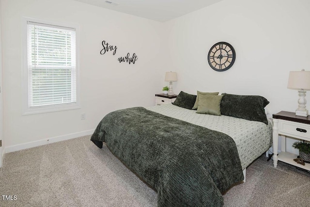 176 Lowery Ln, Benson, NC 27504 - bedroom featuring baseboards and carpet