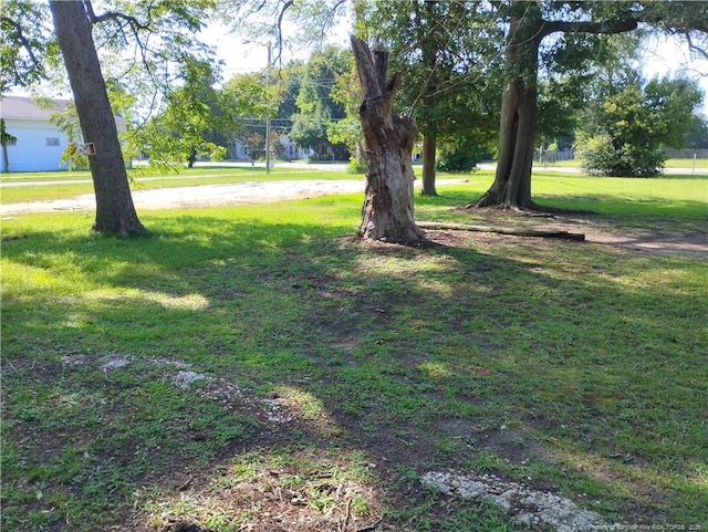 Foch St, Fayetteville, NC 28306 - photo 3