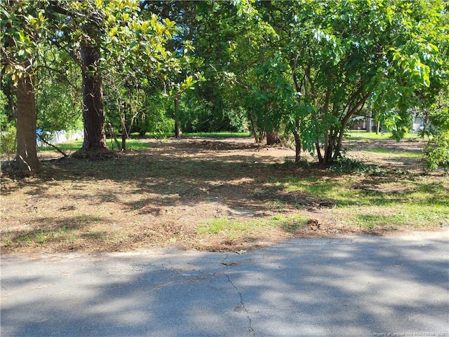 Foch St, Fayetteville, NC 28306 - photo 4