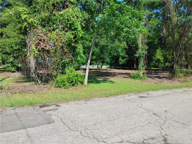 Foch St, Fayetteville, NC 28306 - photo 5