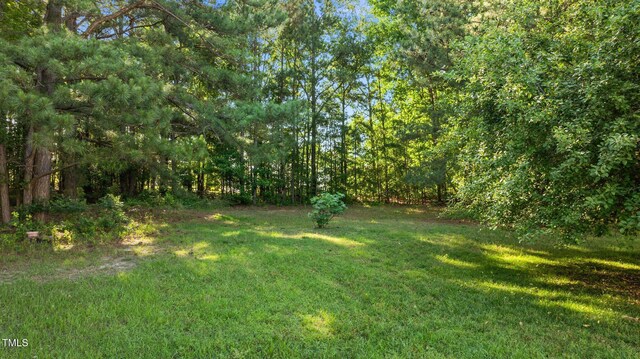 118 Brandi Dr, Rolesville, NC 27571 - photo 17