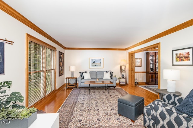 108 Hanover Pl, Chapel Hill, NC 27516 - living area with crown molding, wood finished floors, and baseboards