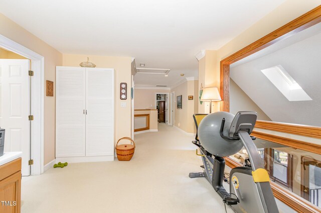 108 Hanover Pl, Chapel Hill, NC 27516 - workout area with a skylight, light colored carpet, crown molding, and baseboards