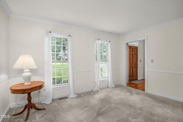 1113 Smokewood Dr, Apex, NC 27502 - empty room with crown molding, carpet floors, healthy amount of natural light, and baseboards