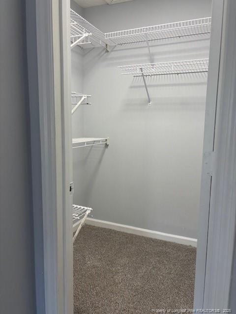 983 Eastment Dr, Fayetteville, NC 28314 - walk in closet with carpet floors