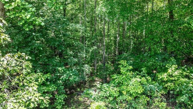 207 Maylon Ln, Clayton, NC 27520