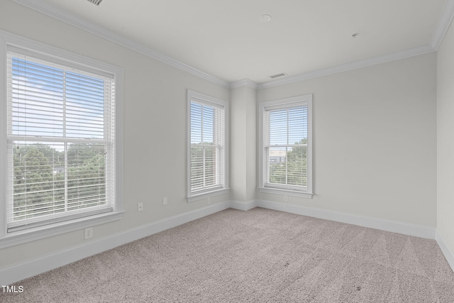 710 Independence Pl Unit 301, Raleigh, NC 27603 - spare room featuring baseboards, carpet flooring, and crown molding