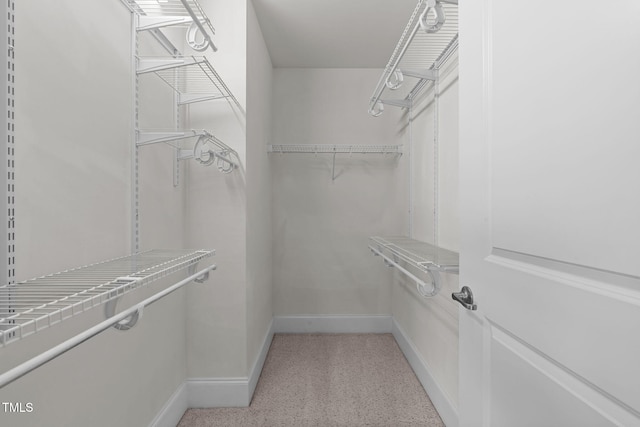 710 Independence Pl Unit 301, Raleigh, NC 27603 - view of walk in closet
