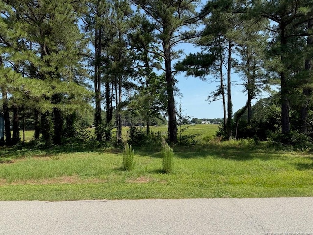 1159 Greenbriar Dr, Vass, NC 28394