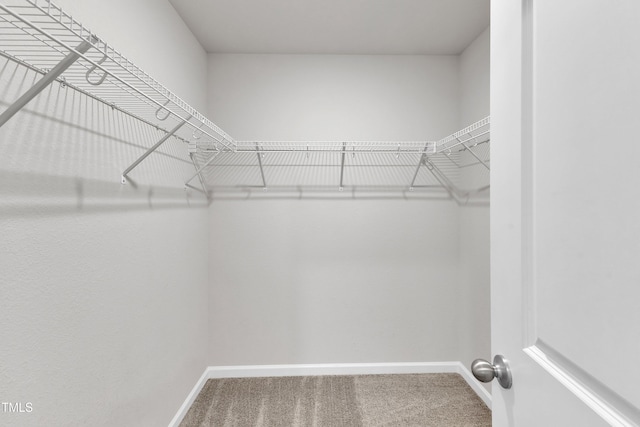 717 Little Patch St, Zebulon, NC 27597 - walk in closet with carpet