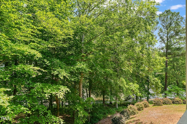 313 Glen Echo Ln Unit J, Cary, NC 27518 - view of undeveloped land