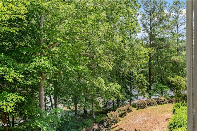 313 Glen Echo Ln Unit J, Cary, NC 27518 - view of local wilderness