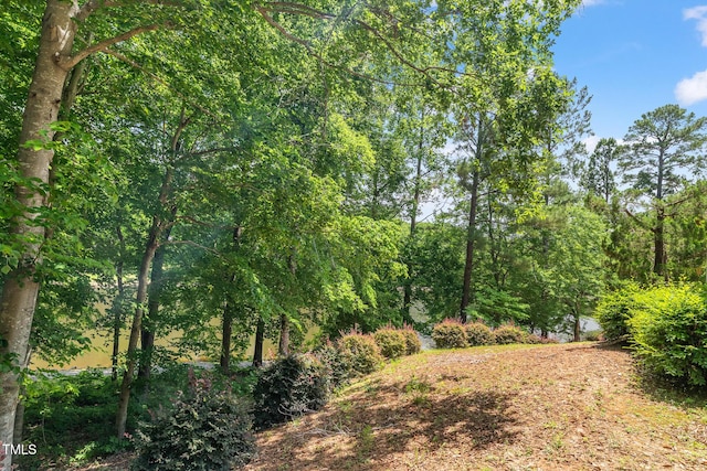 313 Glen Echo Ln Unit J, Cary, NC 27518 - view of yard