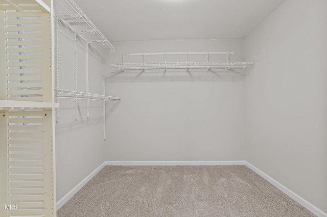 821 Stackhurst Way, Wake Forest, NC 27587 - walk in closet featuring carpet floors