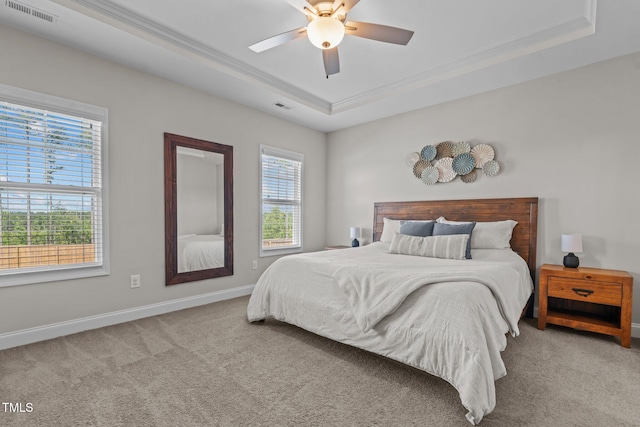 784 Cypress Rd, Cameron, NC 28326 - bedroom featuring a raised ceiling, multiple windows, and carpet flooring