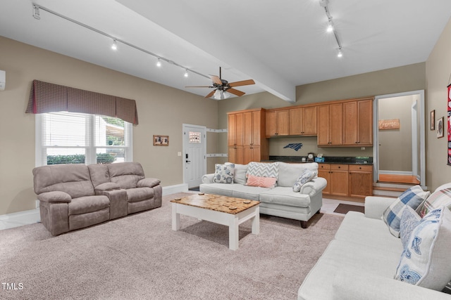 8536 Wolverton Fields Dr, Wake Forest, NC 27587 - living area with rail lighting, carpet, and a ceiling fan