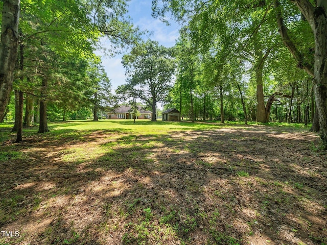 8917 Thompson Mill Rd, Wake Forest, NC 27587 - view of green lawn