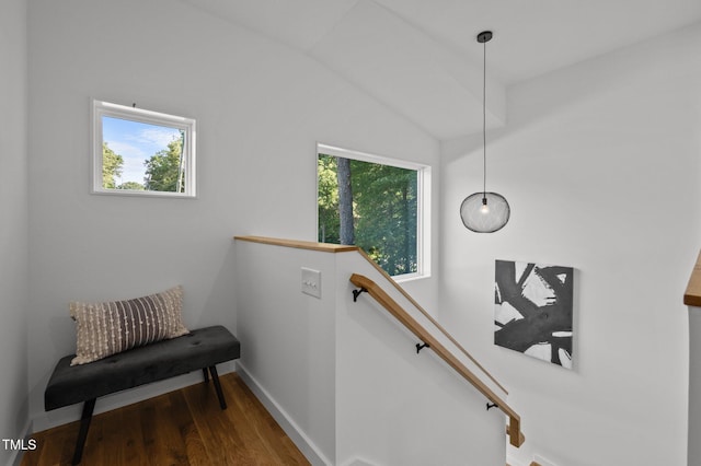 160 Daphine Dr, Hillsborough, NC 27278 - photo 24