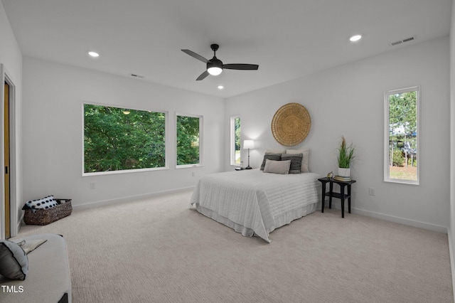 160 Daphine Dr, Hillsborough, NC 27278 - photo 31