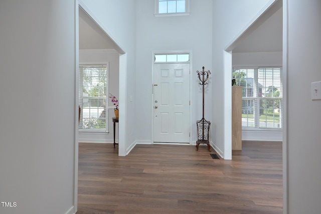 1056 Evening Shade Ave, Rolesville, NC 27571 - entryway featuring dark wood-type flooring, baseboards, and a towering ceiling