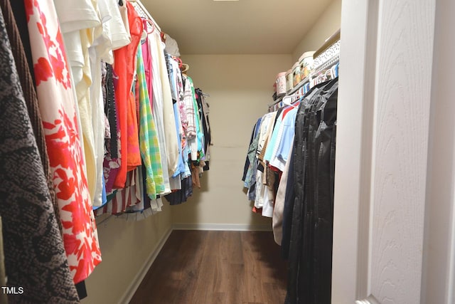 1056 Evening Shade Ave, Rolesville, NC 27571 - spacious closet with wood finished floors