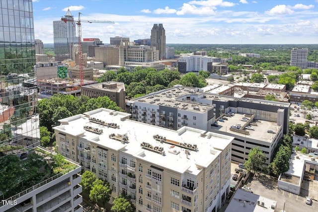 317 W Morgan St Unit 320, Raleigh, NC 27601 - city view