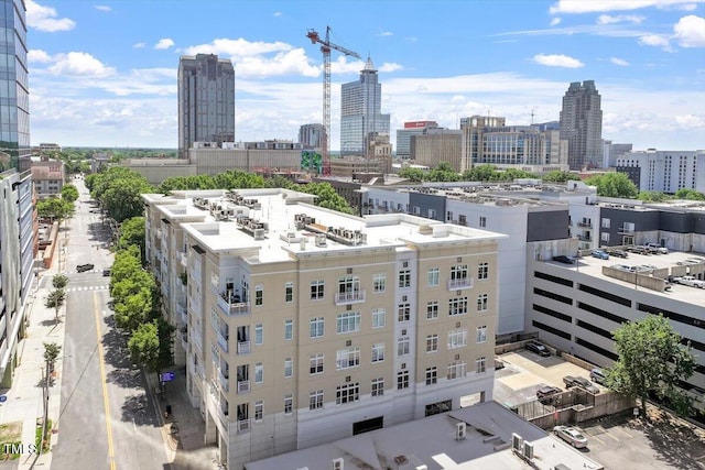 317 W Morgan St Unit 320, Raleigh, NC 27601 - city view