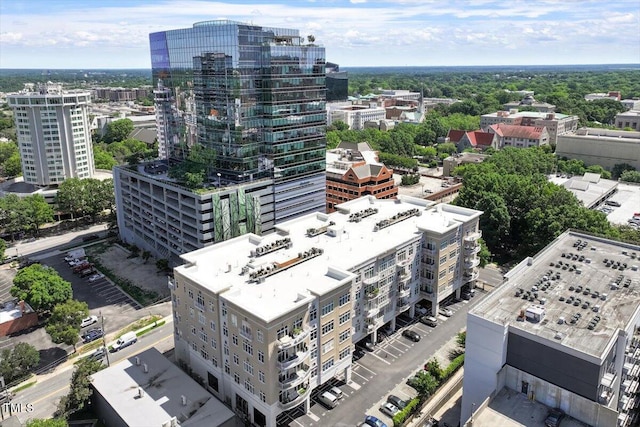 317 W Morgan St Unit 320, Raleigh, NC 27601 - view of urban area