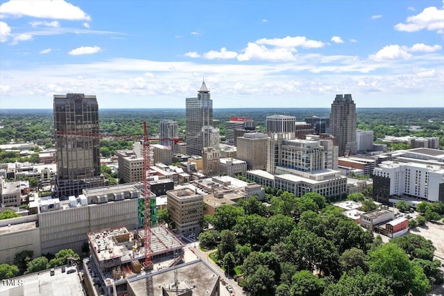 317 W Morgan St Unit 320, Raleigh, NC 27601 - view of city