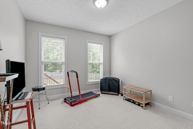 1016 Luminary Ln, Willow Springs, NC 27592 - playroom with carpet flooring, baseboards, and a textured ceiling