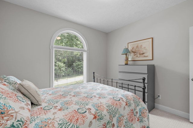 1016 Luminary Ln, Willow Springs, NC 27592 - carpeted bedroom with baseboards