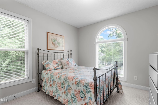 1016 Luminary Ln, Willow Springs, NC 27592 - bedroom with multiple windows, carpet, and baseboards