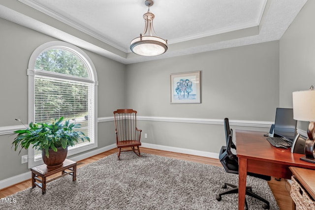 1016 Luminary Ln, Willow Springs, NC 27592 - home office featuring wood finished floors, crown molding, and a raised ceiling