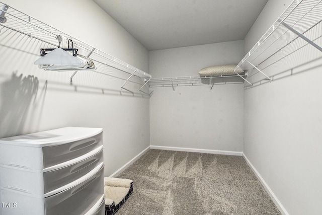 433 Parker Station Ave, Fuquay Varina, NC 27526 - spacious closet with carpet