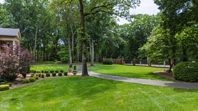 820 Kenmore Rd, Chapel Hill, NC 27514 - photo 6