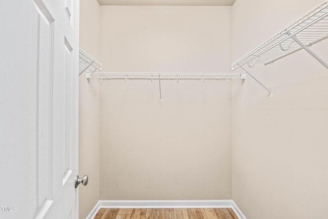 1717 Ormond Rd, Hurdle Mills, NC 27541 - walk in closet featuring light wood finished floors