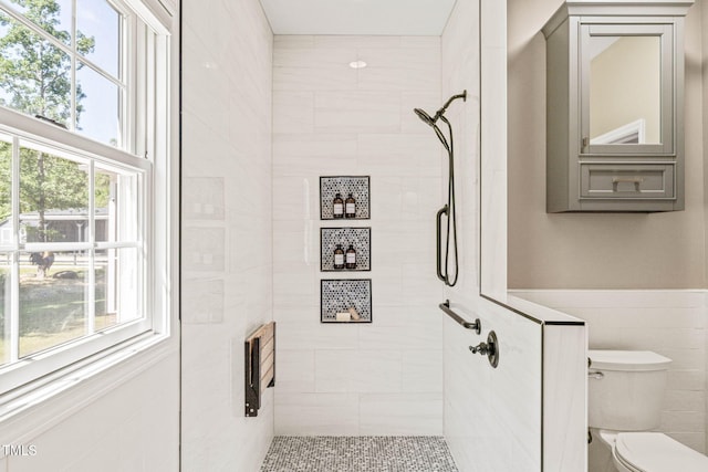 1717 Ormond Rd, Hurdle Mills, NC 27541 - bathroom with toilet and tiled shower