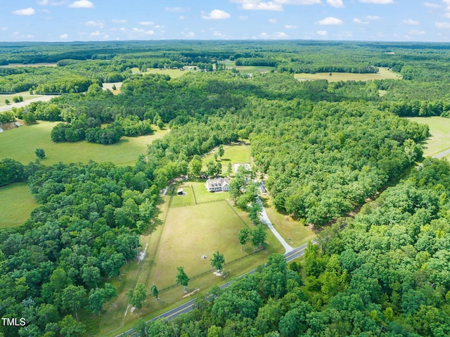 1717 Ormond Rd, Hurdle Mills, NC 27541 - bird's eye view of a forest