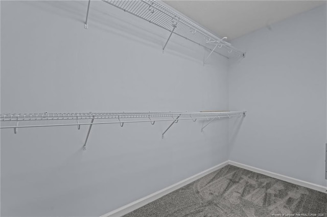 11 Checkmate Ct, Cameron, NC 28326 - walk in closet with carpet floors