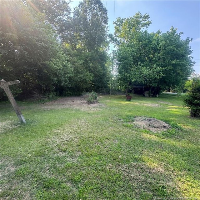 88 Turkey Branch Rd, Fairmont, NC 28340 - photo 12
