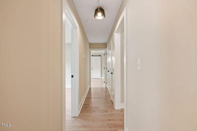 847 E Maple Ln, Fuquay Varina, NC 27526 - hallway featuring light wood-type flooring and baseboards