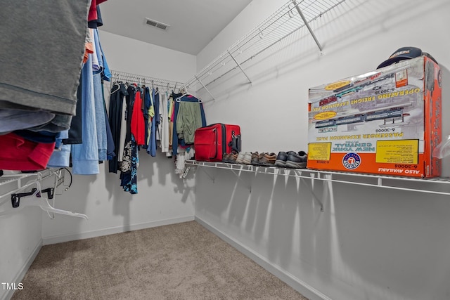 30 Sunbury Ct, Zebulon, NC 27597 - walk in closet featuring carpet