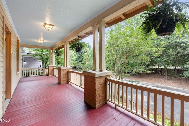 1008 Dorothea Dr, Raleigh, NC 27603 - view of porch