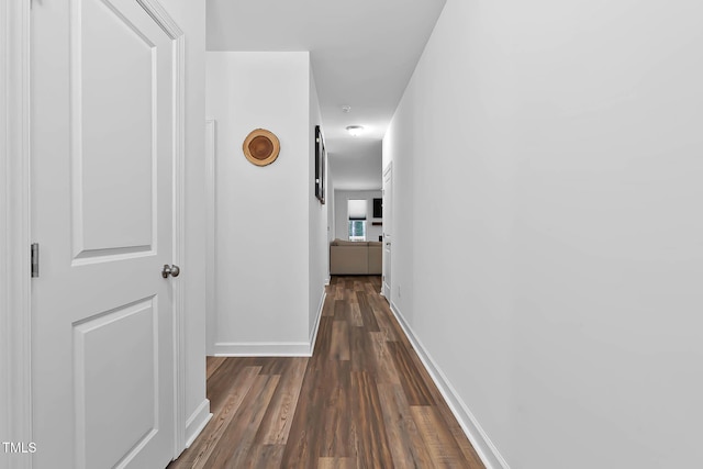 136 Hatchet Cv, Louisburg, NC 27549 - corridor with dark wood finished floors and baseboards